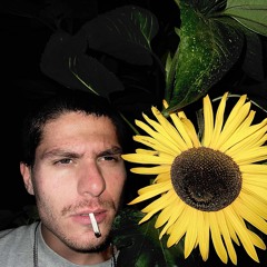 4 . SÅNRD (11/11/24)