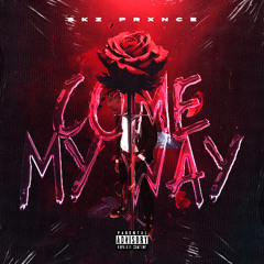 Skz Prxnce - Come My Way (4)