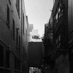 I Am The City