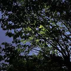 که می‌رسیم یک روز