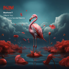 Mathew F - I Want You (Kane Sonder Remix)