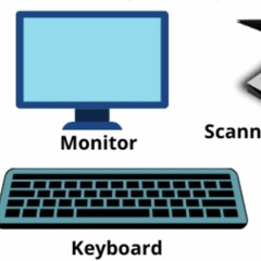 Dancefestopia Yellow Brick Road tour 2024 Submission Mix