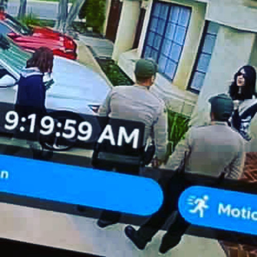 Walkin Round With Crows