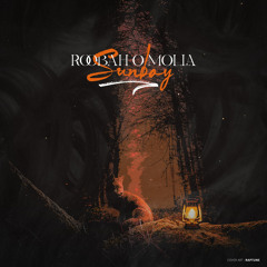 Sunboy - Roobah o Mola
