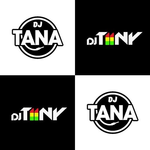 NoPartyWithoutT FT. DJ TANA | HipHop & RnB Mix
