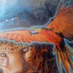 guacamayo (cover Danit)