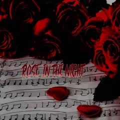 Rose In the Night
