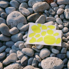 sunflower by the river w/ Jack Johnson prod. by Toriño