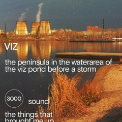 VIZ pond
