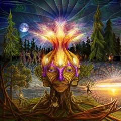 Wizatec - In the Refuge of Stillness 150 52