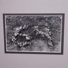 Avant Garde Mix - Sound of Being Enchanted / Bewitched