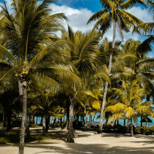 ولونه uplifting background music (FREE DOWNLOAD)