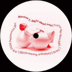 Mousse T. feat. Emma Lanford - Right About Now (Fuzzy Hair New Edit)