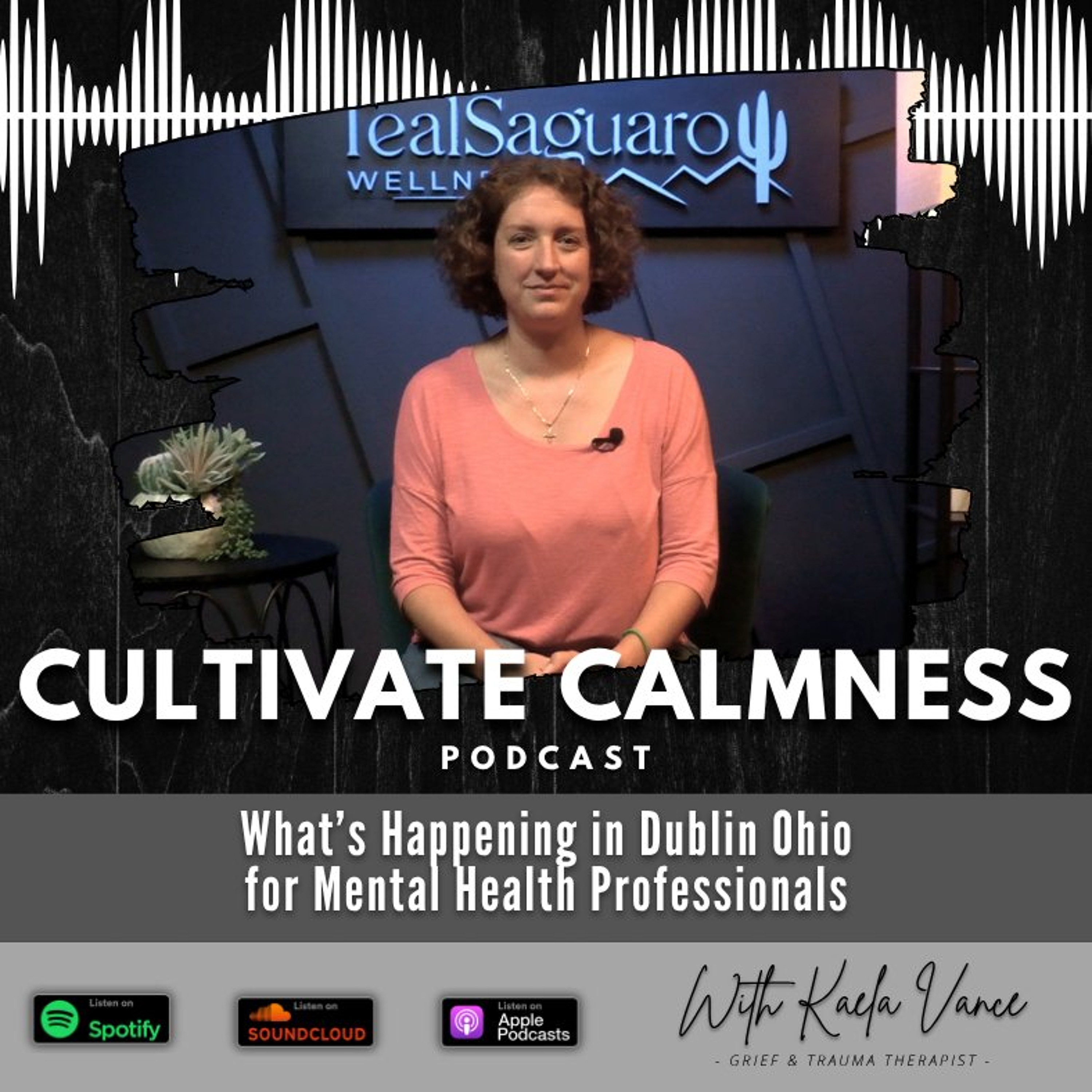 Episode #147 - What’s Happening in Dublin Ohio for Mental Health Professionals episode artwork