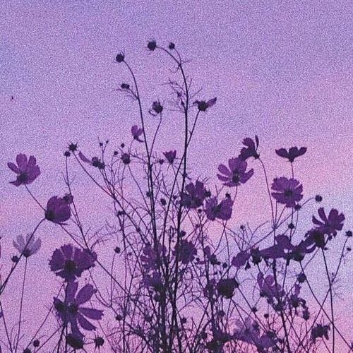 MỘT CÚ LỪA (lofi)