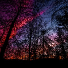 SIS - Live at Cirque Bonheur Paris Pt2