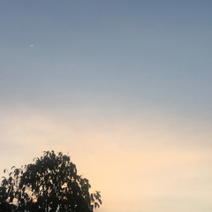 Diamond-rihana(cover)