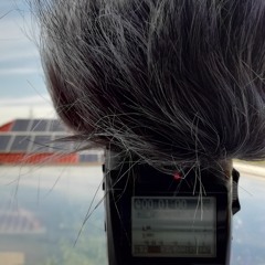 Listening Through Windows [Disquiet0436]