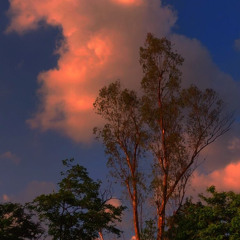 vaicaunoicokhiennguoithaydoi-vstra