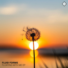 Fluid Form - Sultans Of Swing