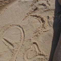 DJ DN DA FAVELINHA - igual ela não tem [ MC CABELINHO ]