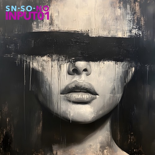 NO INPUT 01 by SN-SO
