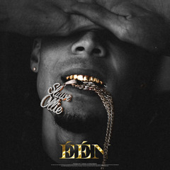 HERRA (Remix) [feat. Bizzey, Afro Bros, Young Ellens & D-Double]