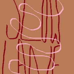 slowlane_demo