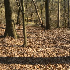 Am I Scared? (performed by JazzAnarchy)