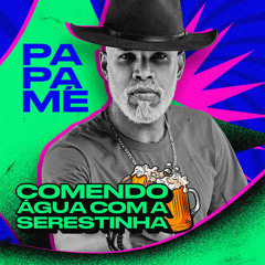 RAPARIGA DO BAR (feat. O BOY DA SERESTA)