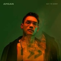 Say I'm Sorry - Afgan (cover)