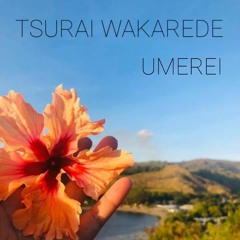 Tsurai Wakarede