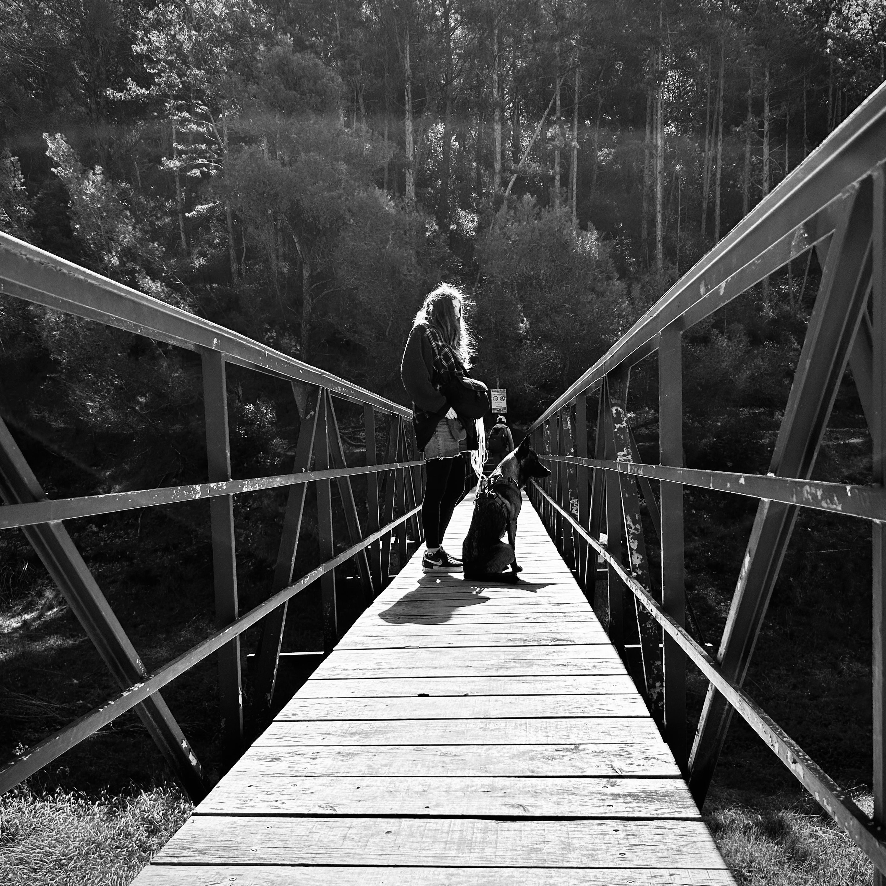 The Dark Bridge