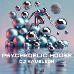 Dj Kameleon - Psychedelic House Pt. 2
