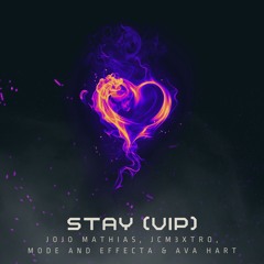 STAY (VIP REMIX)