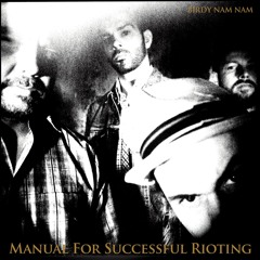 Manual For Sucessful Rioting