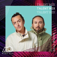 MELODIC DEEP TALENT MIX SERIES #285 | Animal Print