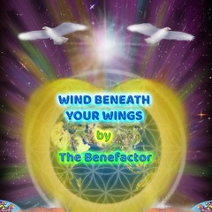 Wind Beneath Your Wings
