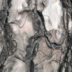 Golpe de viento - (Gust of wind) - 2024 [reducción estereofónica]