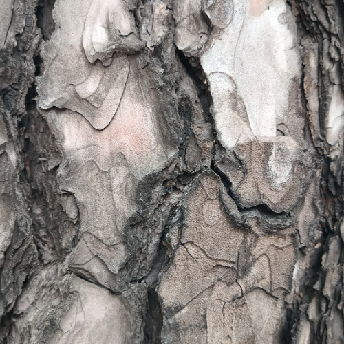 Golpe de viento - (Gust of wind) - 2024 [reducción estereofónica]