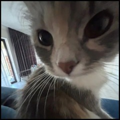 shmot