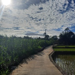 jalan tengah (cover)