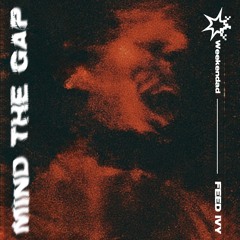 Weekendad - Mind the Gap (SF Fudge Remix)