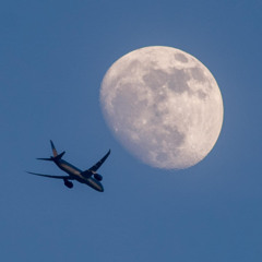 Tan Chậm Vol. 5 - Muộn