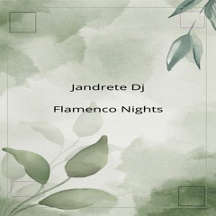 Flamenco Nights - Radio Edit