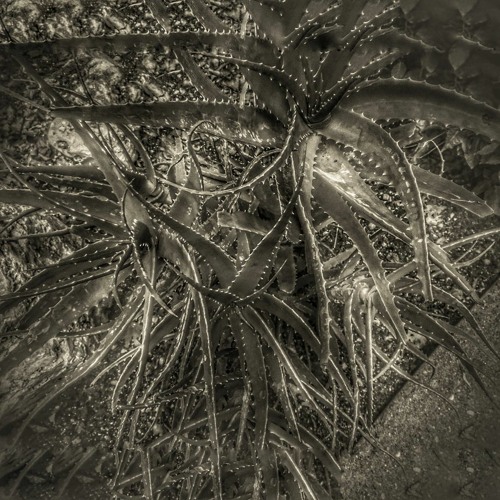 My Boss She Aint Like Techno