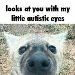 [Dustbelief] The Killers' Retribution (Phase 5)