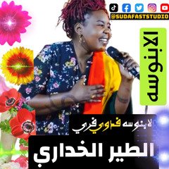 ‎⁨الابنوسه فدوي فريد || الطير الخداري⁩