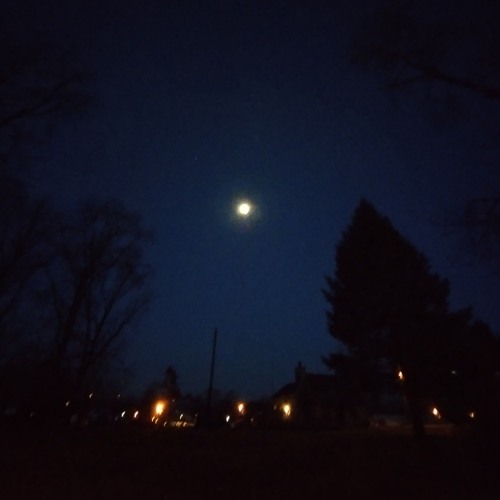 •• everyday loop || feels ••