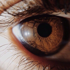 Lulpatchy - “eyes brown dark and romantic” [Eyes Blue Like the Atlantic]